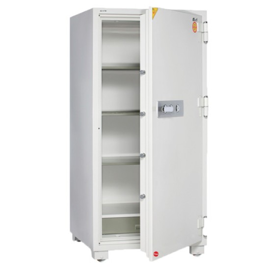 Countexpress Safe 485K